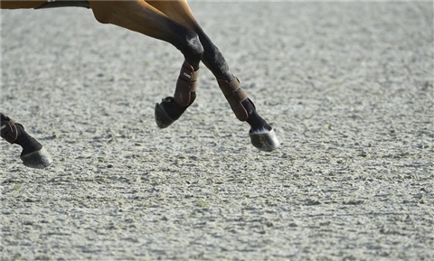 Walber Equestrian - Ridebund, ridebane og staldinventar - walber.dk